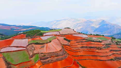 Overhead-natural-panoramic-large-agricultural-lands-with-corn,-wheat-and-terrace-farming-fields-in-rural-at-mountain