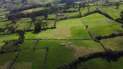 Aerial-drone-flight-over-the-green-fields-of-the-province-of-Pichincha,-Ecuador-on-a-warm-day