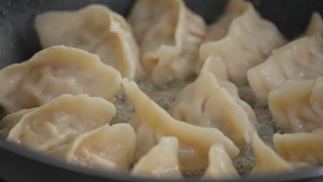 Pan-frying-gyoza-dumpling-jiaozi-at-home.