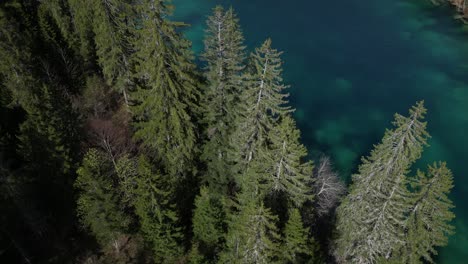 Aerial-Shot-Of-Wonderful-Nature-Of-Cresta-Lake-Streaming-Through-Green-Trees,-Switzerland