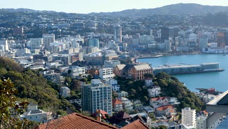 Aerial-cityscape-of-Wellington-city-with-offices,-apartments-and-houses-overlooking-harbour-in-Wellington,-New-Zealand-Aotearoa