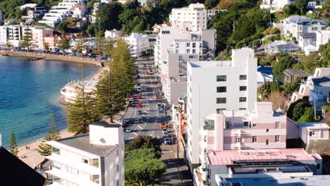 Vista-Aérea-De-La-Popular-Bahía-Oriental-Con-Tráfico-A-Lo-Largo-Del-Paseo-Marítimo,-Casas-Y-Apartamentos-Con-Vistas-Al-Agua-Del-Puerto-En-Wellington,-Nueva-Zelanda-Aotearoa