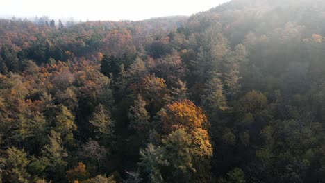 Volando-Sobre-El-Bosque-De-Otoño-Con-Drone