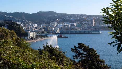 Aerial-view-from-Mt-Vic-through-trees-overlooking-Wellington-city,-harbour-and-water-fountain-in-New-Zealand-Aotearoa