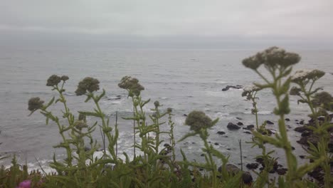 Toma-Panorámica-Con-Cardán-A-Lo-Largo-De-Escarpados-Acantilados-Costeros-Cerca-De-La-Playa-Moonstone-En-Cambria,-California