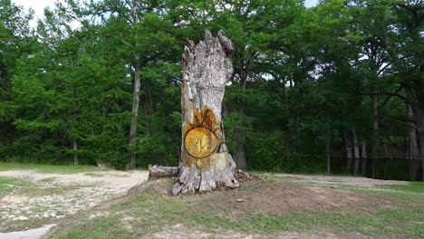 Static-video-of-tree-carvings-in-Bandera-Texas-located-in-the-Bandera-City-Park