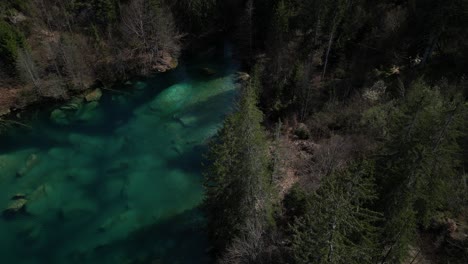 Aerial-Shot-Of-Wonderful-Cresta-Lake-Streaming-Through-Green-Trees,-Switzerland