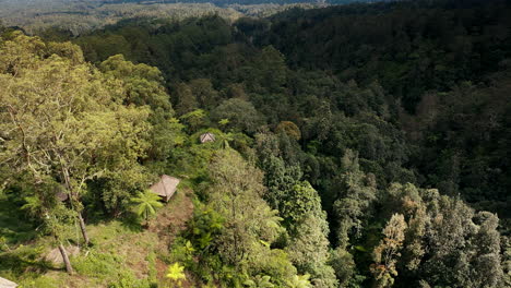 Exuberante-Bosque-Del-Monte-Agung-En-Bali,-Indonesia---Disparo-Aéreo-De-Drones