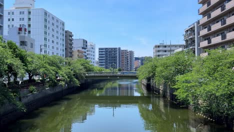 River-flowing-through-a-city-with-green-trees-and-buildings-on-a-sunny-day