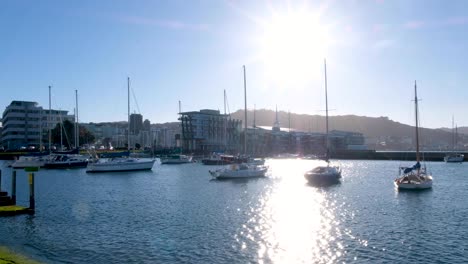 Scenic-view-of-Chaffers-Marina-with-moored-boats-and-residential-apartments-overlooking-harbour-water-in-Wellington,-New-Zealand-Aotearoa