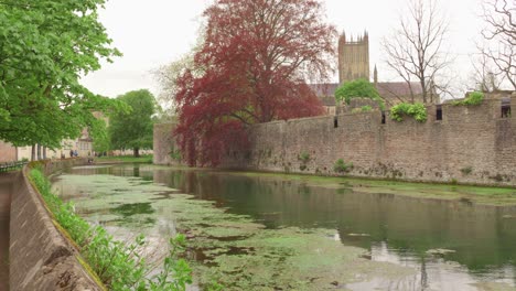 A-serene-view-of-the-Bishop's-Palace-and-moat-in-Wells,-England-with-lush-greenery