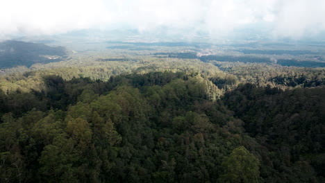 üppige-Dschungelvegetation-Am-Mount-Agung,-Bali,-Indonesien---Luftaufnahme-Einer-Drohne