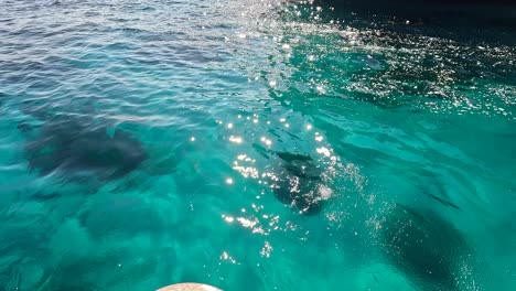 Turquoise-blue-waters-of-the-Blue-Lagoon-in-Malta,-showcase-its-stunning-natural-beauty-and-inviting-waters