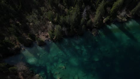 Toma-Cinematográfica-Del-Impresionante-Lago-Cresta-Corriendo-Entre-árboles-Verdes,-Suiza