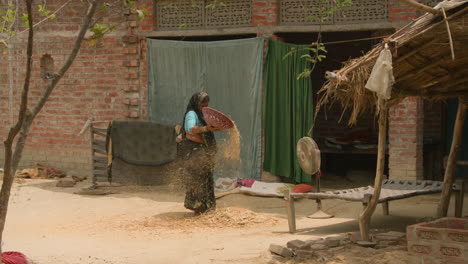 Woman-thinning-hay-in-rural-India