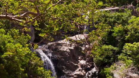 Hermosa-Corriente-De-Vida-Para-El-Raglai-De-Ninh-Thuan,-Vietnam:-Río,-Cascada,-Paisaje-De-Bosque-Selvático