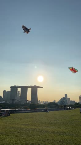 Menschen,-Die-An-Einem-Sonnigen-Tag-Am-Marina-Barrage-In-Singapur-Drachen-Steigen-Lassen