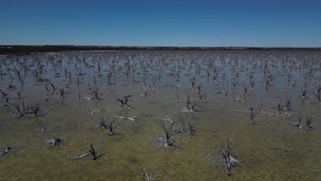 Bodendegradation-Durch-Ungeeignete-Landwirtschaftliche-Praktiken-Und-Rodungen,-Taarbin-Lake,-Australien