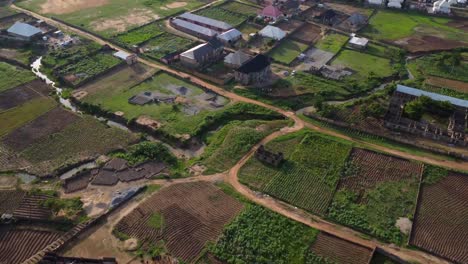 Top-down-birds-eye-view-farmland-and-green-fields-in-Nigeria-in-Africa