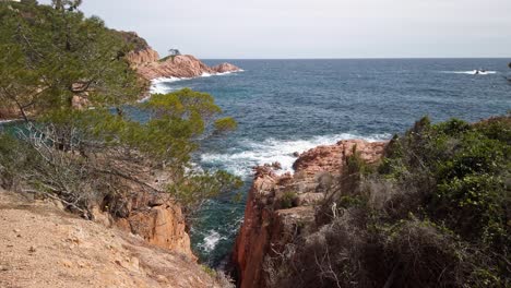 Views-from-a-cliff-overlooking-the-Mediterranean-Sea-on-the-Costa-Brava,-Catalonia,-typical-landscape-of-pine-trees-and-rocks