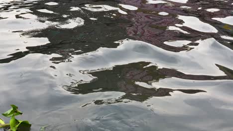 Sanfte-Wellen-Auf-Der-Oberfläche-Des-Verschmutzten-Buriganga-Flusses-Mit-Wasserhyazinthen