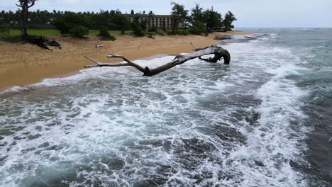 Aerial-Zoom-Out-from-Waves-Splashing-Over-Driftwood-on-Moody-Beach