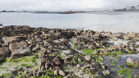 Low-drone-footage-over-rocks-and-beach-Belle-Greve-Bay-Guernsey-with-golden-beach-and-seafront-looking-towards-St-Peter-Port