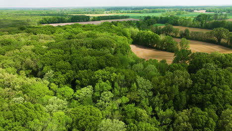 Großer-Zypressenpark