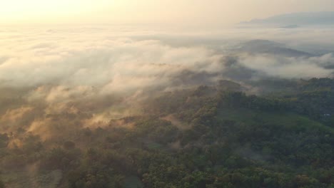 Vista-Aérea-Del-Sol-De-La-Mañana-Brilla-En-El-Campo-Tropical-Envuelto-En-Un-Mar-De-Niebla