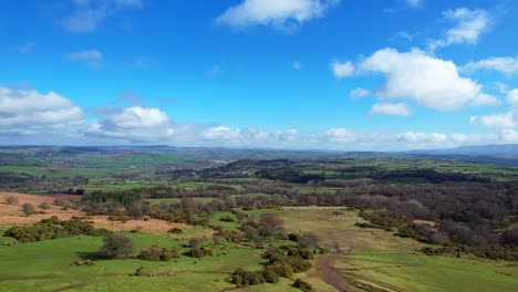 Aerial-rising-shot-in-a-meadow-of-Brecon-Beacons-National-Park-on-a-sunny-day