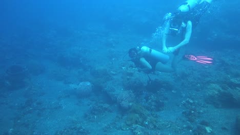 Two-people-are-diving-in-the-ocean-to-explore-the-under-water-world-in-Kubu,-Indonesia,-slowmotion-and-copy-space