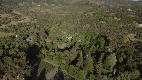 Aerial-of-vineyards-near-downtown-Sonoma,-California