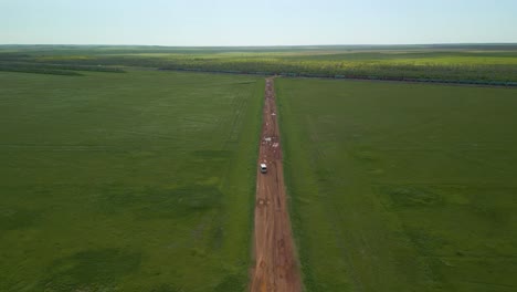 Aerial-View-Of-Dirt-Road-Between-Green-Fields---Drone-Shot