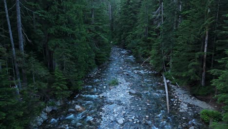 Aerial-shot-of-creek-river-flowing-through-dense-Evergreen-forest-in-the-Pacific-Northwest