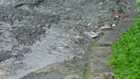 Lluvia-Salpicando-En-Una-Calle-Mojada-Con-Hierba-Verde-Y-Escombros-Dispersos