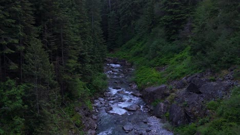 Malerische-Vorwärtsaufnahme-Eines-Fließenden-Flusses-Durch-Dichten,-Immergrünen-Wald-Im-Pazifischen-Nordwesten