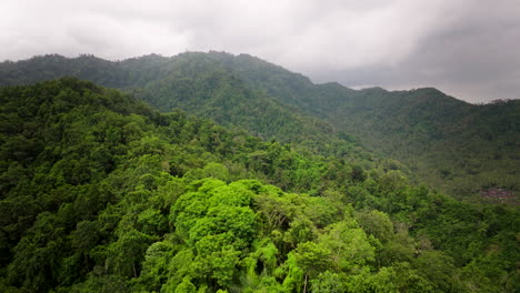 High-angle-view-over-vibrant-green-tree-tops,-cloudy-overcast-feel-with-a-sunny-spot