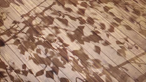 Wooden-floor-with-shadows-of-leaves-and-branches