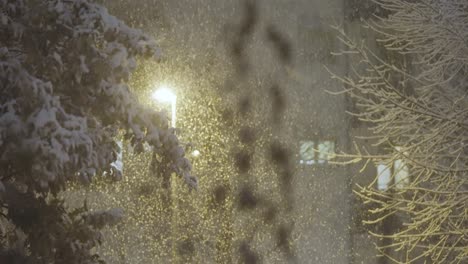 Soft-snowflakes-gently-fall-on-snow-covered-trees-and-ground,-illuminated-by-a-streetlight