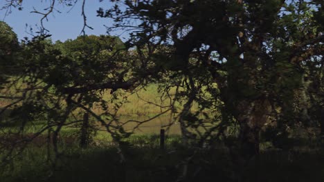 Gimbal-shot-of-a-lake-in-Sonoma,-California-at-sunset