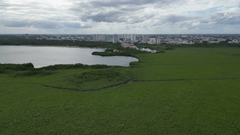 Aerial-descends-to-lush-Nichupte-mangrove-lagoon-at-Cancun,-Mexico