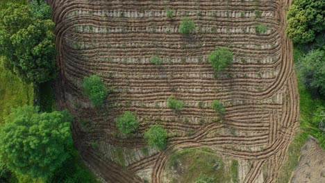 flight-with-overhead-view-in-a-plowed-farm-surrounded-by-ash-trees,-the-shapes-created-by-the-furrows-are-surprising,-there-are-more-trees-inside-mixed-with-the-cultivation-of-vines