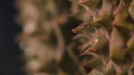 Textura-De-La-Piel-Durian,-Primer-Plano