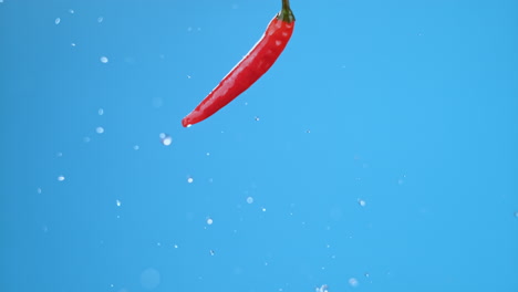 Single-hot-red-chili-pepper-jumping-up-with-an-explosion-of-symmetrical-water-droplets