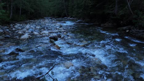 Magnífico-Tiro-De-Vuelo-Bajo-Deslizándose-Sobre-El-Arroyo-Del-Río-Que-Fluye-En-Un-Oscuro-Bosque-Siempre-Verde-En-El-Noroeste-Del-Pacífico