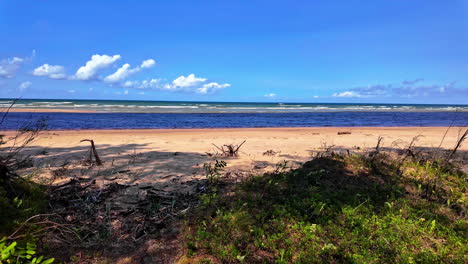 Scenic-view-of-the-Baltic-Sea-on-a-sunny-day-with-lush-greenery-and-clear-blue-sky