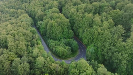 Drone-view-of-a-winding-road-through-a-dense,-green-jungle,-showcasing-the-lush-natural-beauty-of-the-forest