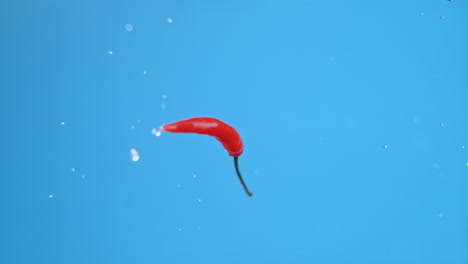 Sigle-red-hot-chili-pepper-flying-up,-spinning-wildly,-splashing-water