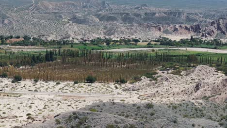 Oasis-plantation-amidst-the-desert-in-Cafayate,-Salta-Province,-Argentina