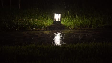 4K:-Raindrops-falling-on-the-garden-ground-light-during-a-rainy-night-in-Georgia